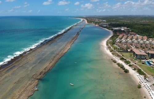 D9FADE96-4E83-45F5-A556-E6C1CB0A8869